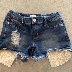 Hudson Distressed Jean Shorts